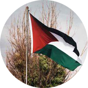 Bandera de Palestina con colores rojo, negro, blanco y verde ondeando al viento.